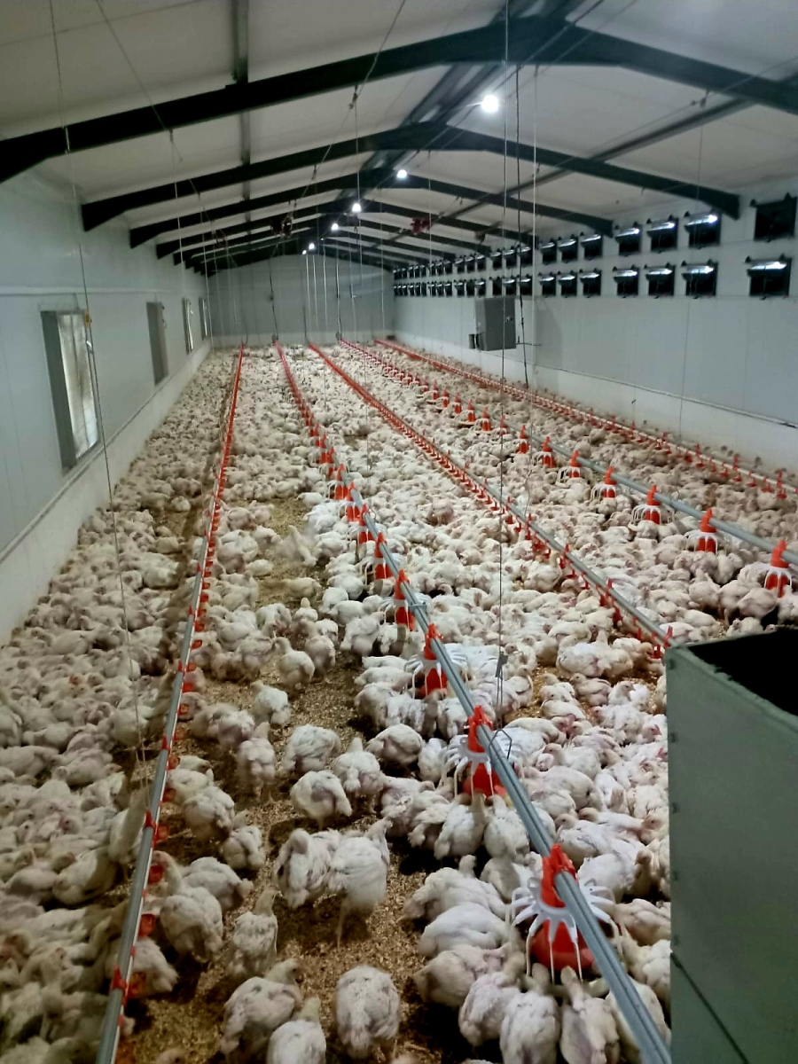 4 Bedroom Property for Sale in Radium Limpopo