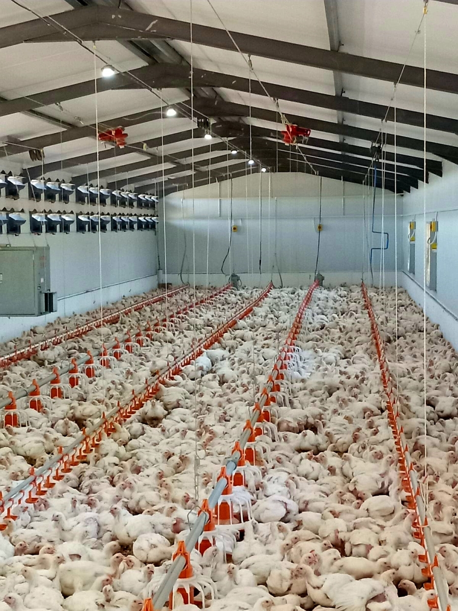 4 Bedroom Property for Sale in Radium Limpopo