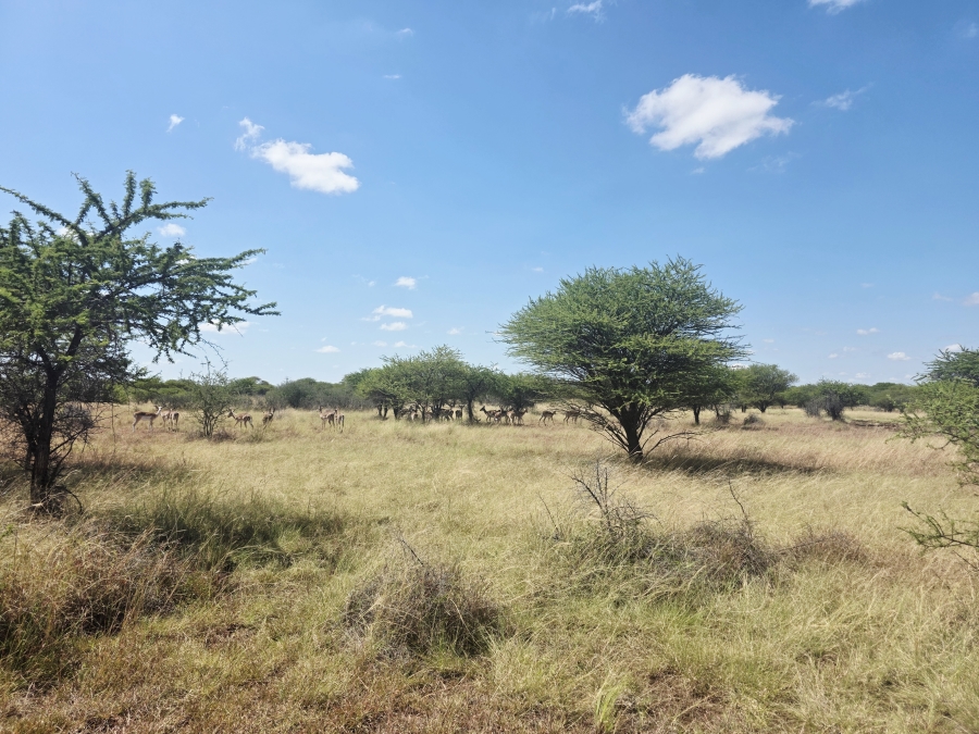 4 Bedroom Property for Sale in Radium Limpopo