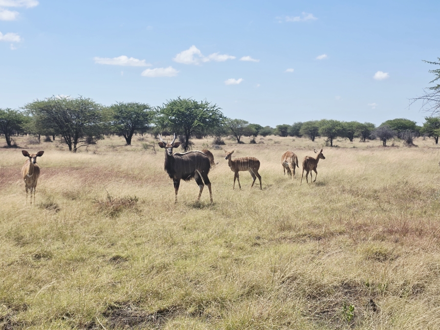 4 Bedroom Property for Sale in Radium Limpopo