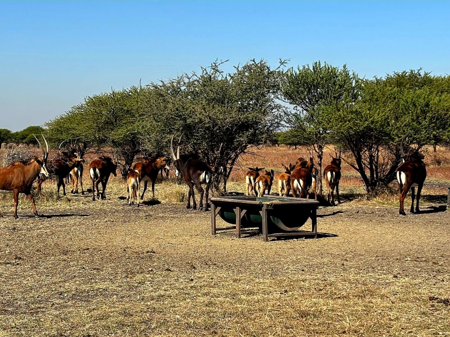 4 Bedroom Property for Sale in Radium Limpopo