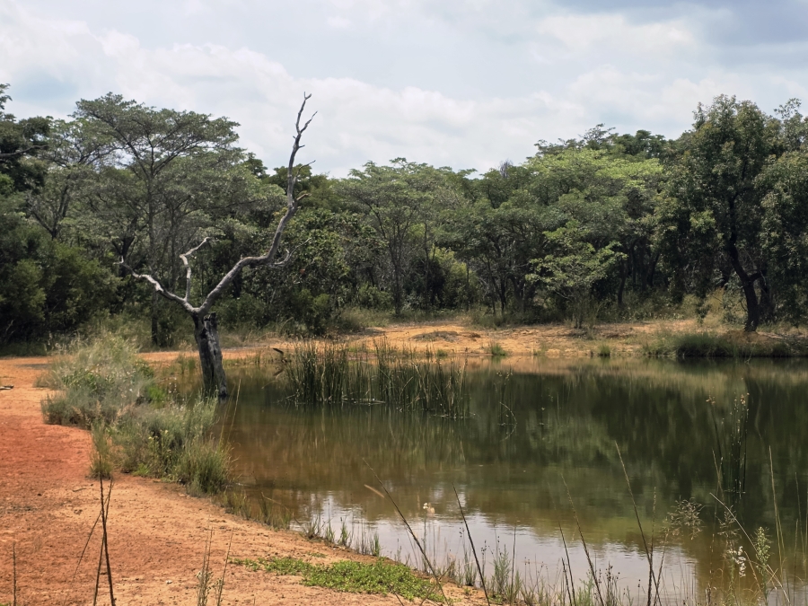 8 Bedroom Property for Sale in Mookgopong Limpopo