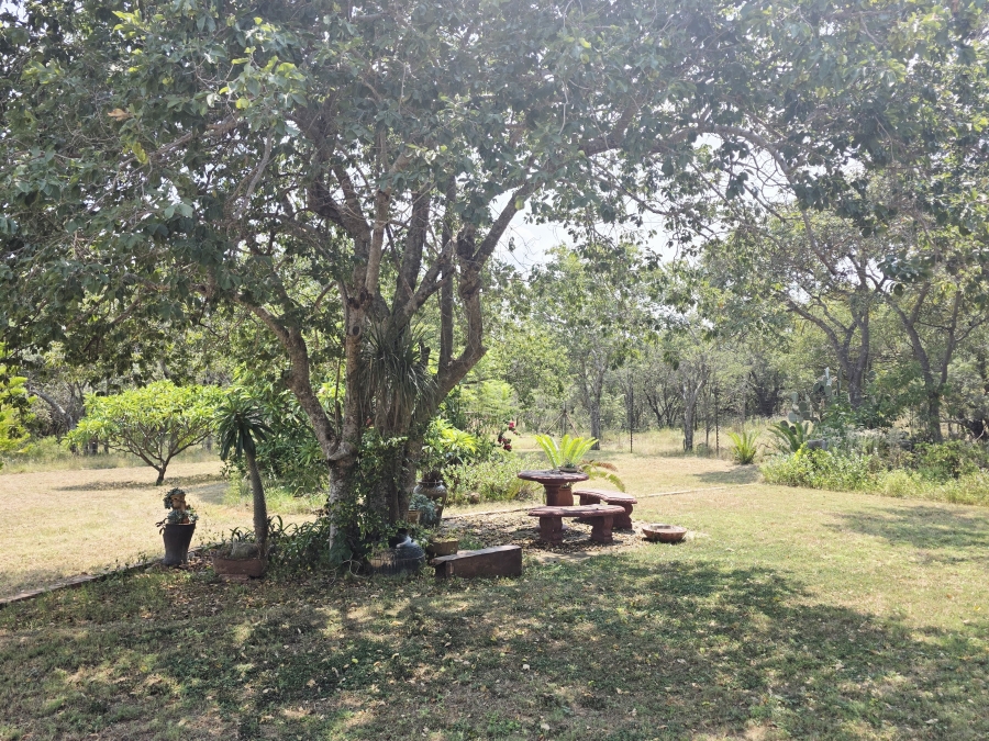 8 Bedroom Property for Sale in Mookgopong Limpopo