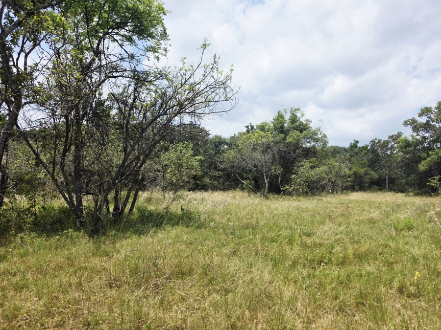 8 Bedroom Property for Sale in Mookgopong Limpopo