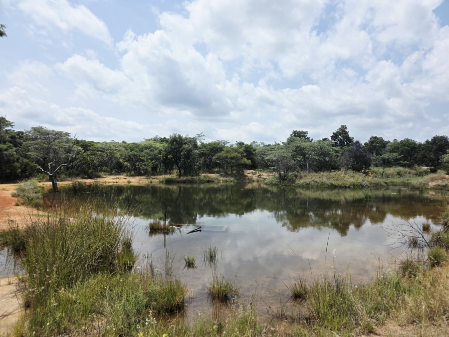 8 Bedroom Property for Sale in Mookgopong Limpopo