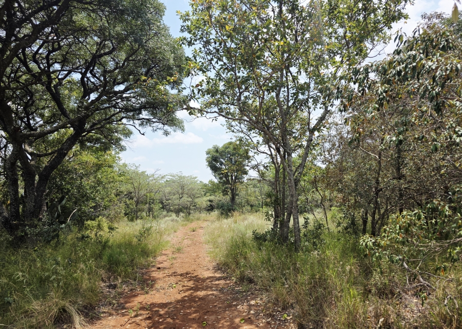 8 Bedroom Property for Sale in Mookgopong Limpopo