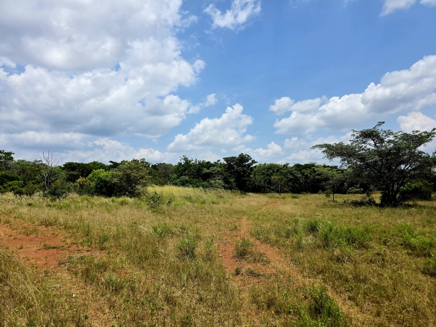 8 Bedroom Property for Sale in Mookgopong Limpopo