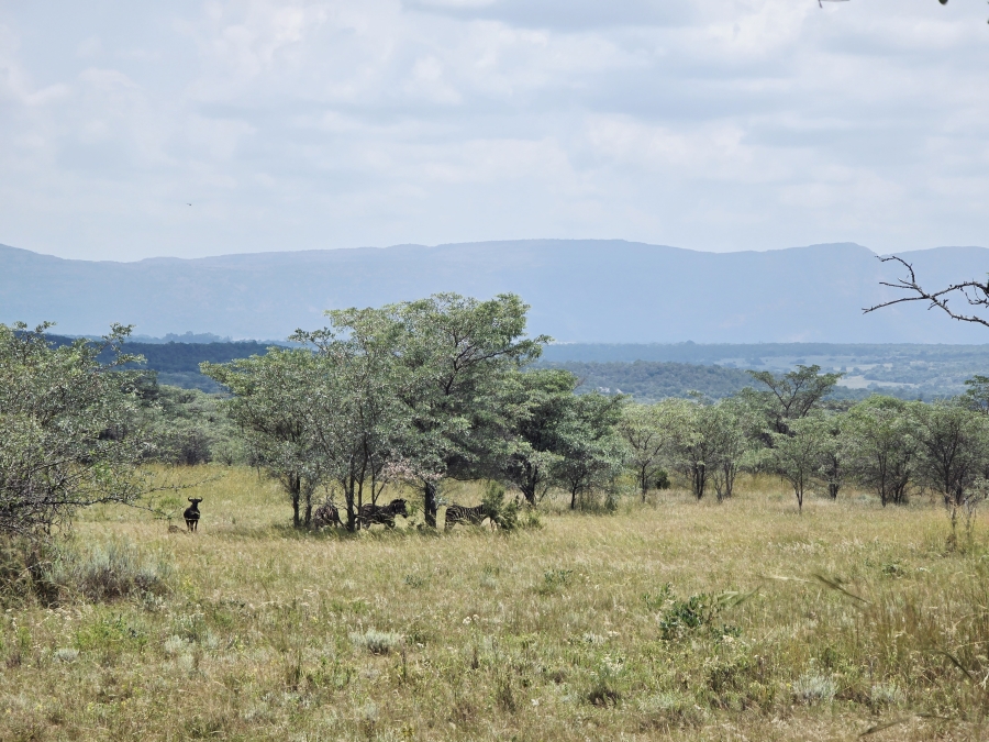 8 Bedroom Property for Sale in Mookgopong Limpopo