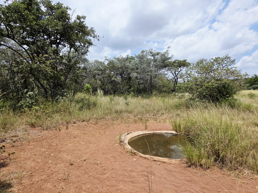 8 Bedroom Property for Sale in Mookgopong Limpopo