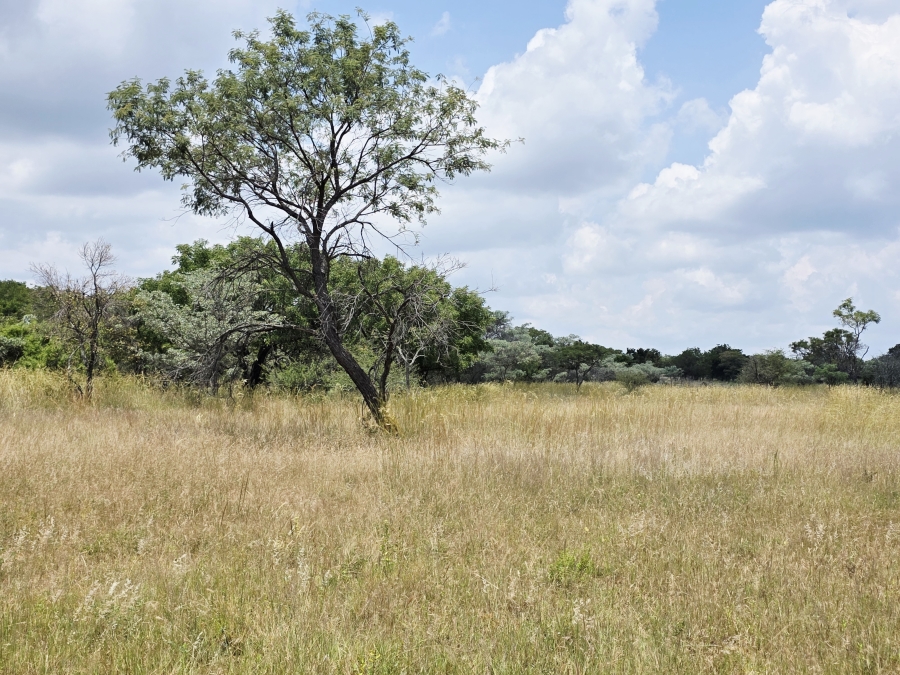 8 Bedroom Property for Sale in Mookgopong Limpopo