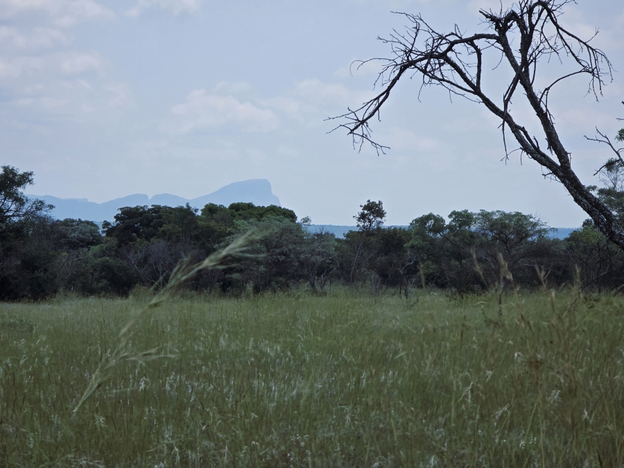 8 Bedroom Property for Sale in Mookgopong Limpopo