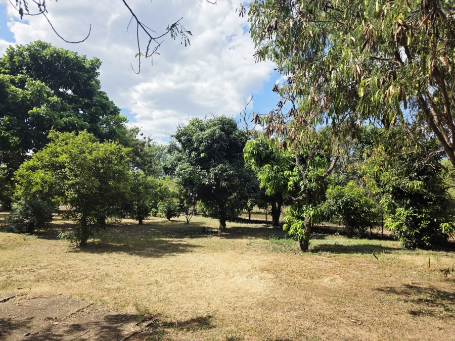 7 Bedroom Property for Sale in Buffelsdoorns AH Limpopo