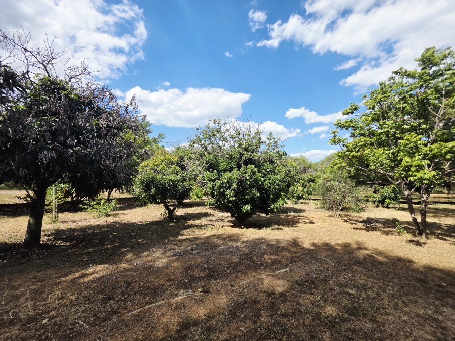 7 Bedroom Property for Sale in Buffelsdoorns AH Limpopo