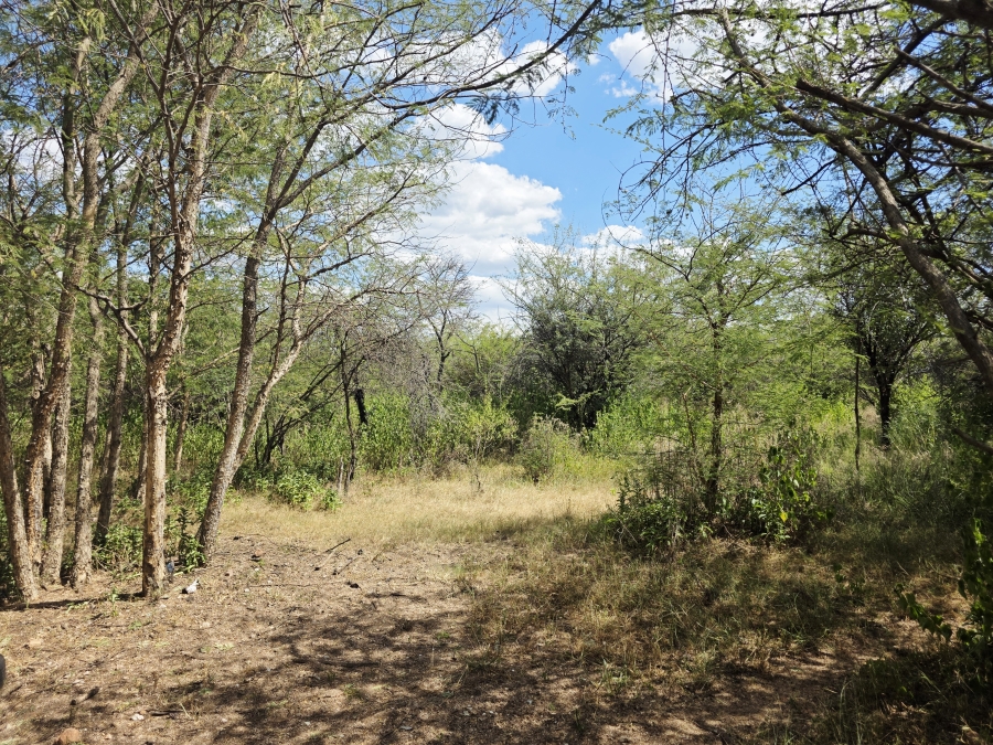 7 Bedroom Property for Sale in Buffelsdoorns AH Limpopo