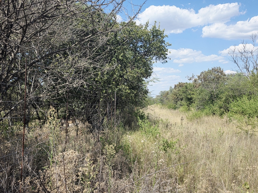 7 Bedroom Property for Sale in Buffelsdoorns AH Limpopo