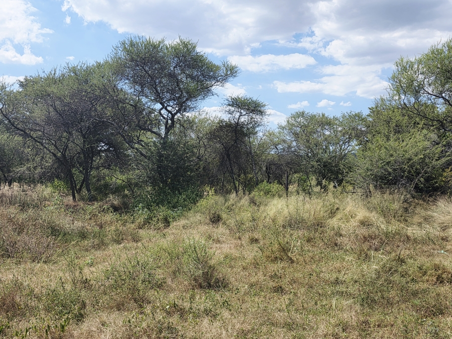 7 Bedroom Property for Sale in Buffelsdoorns AH Limpopo