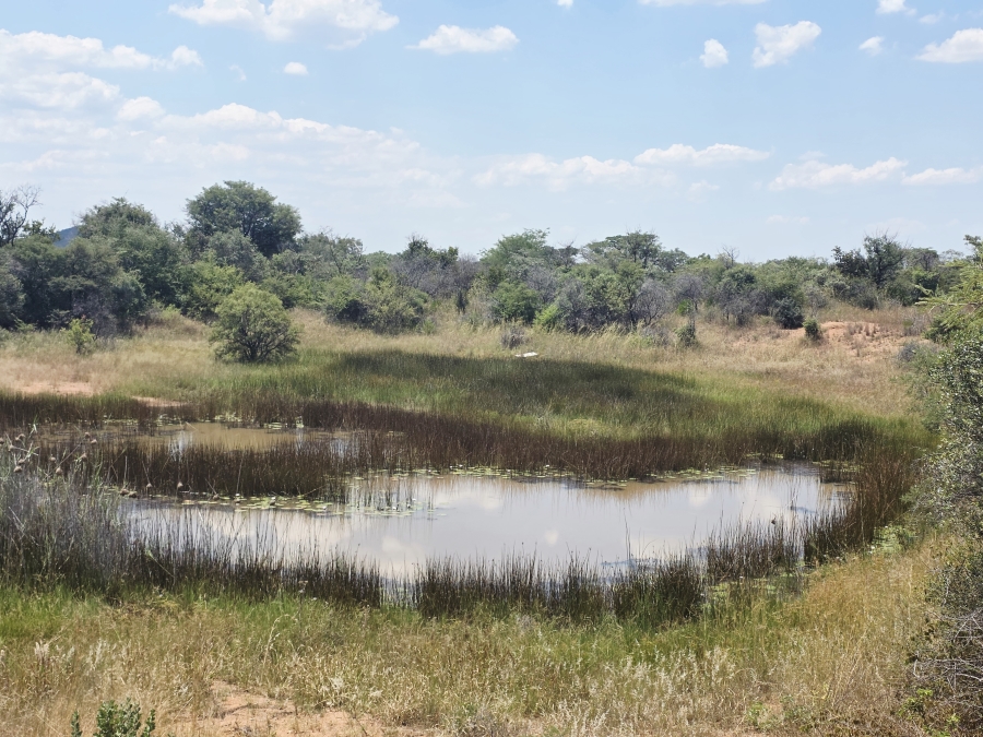 7 Bedroom Property for Sale in Buffelsdoorns AH Limpopo