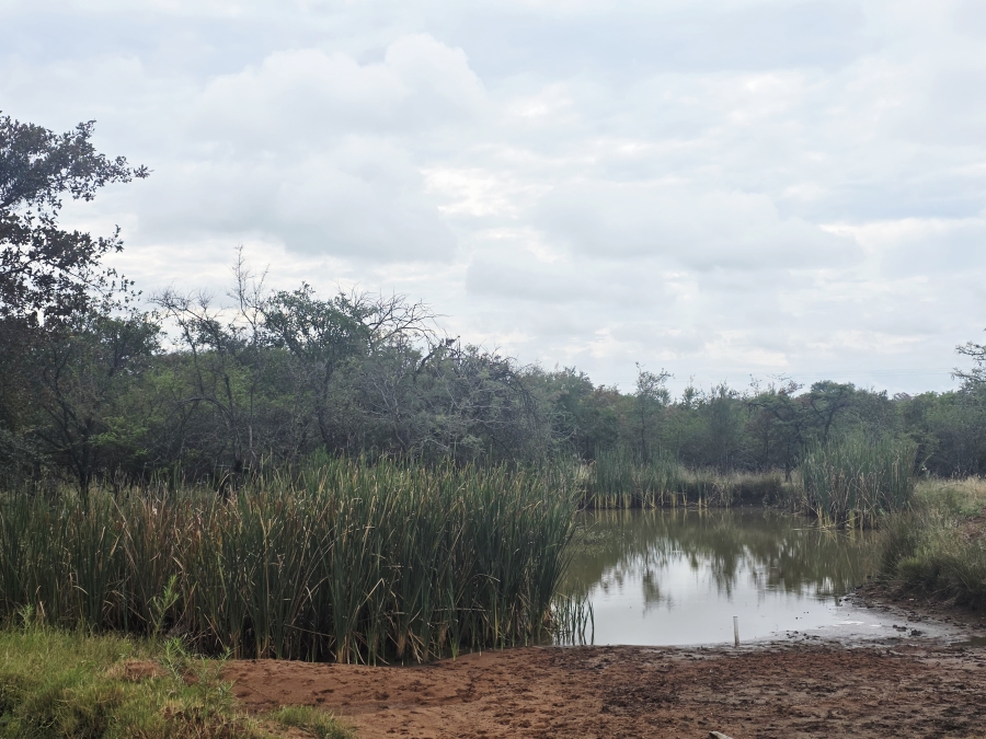 8 Bedroom Property for Sale in Naboomfontein AH Limpopo