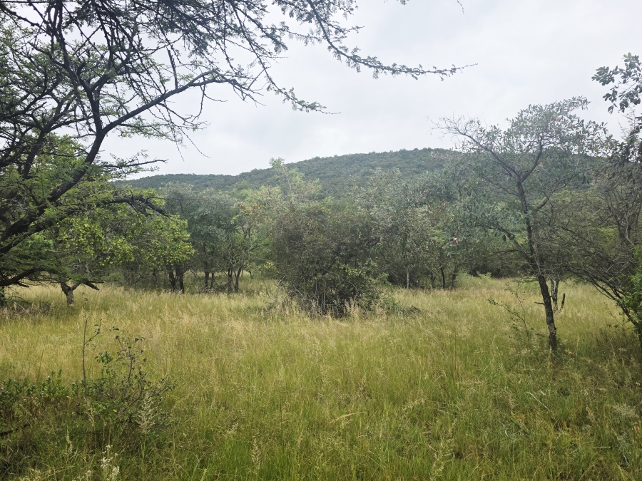 8 Bedroom Property for Sale in Naboomfontein AH Limpopo