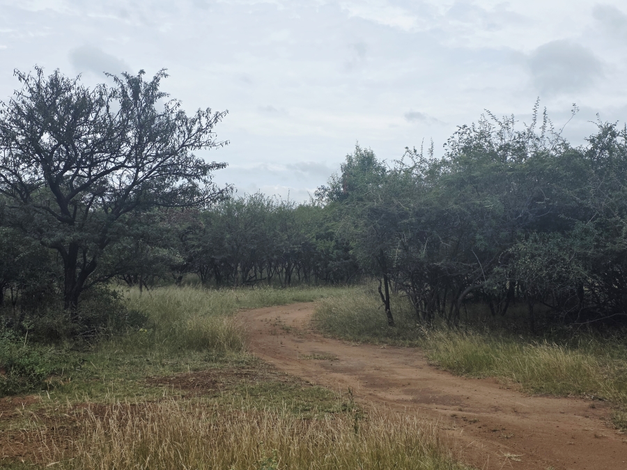 8 Bedroom Property for Sale in Naboomfontein AH Limpopo