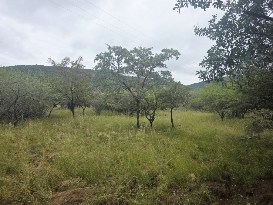 8 Bedroom Property for Sale in Naboomfontein AH Limpopo