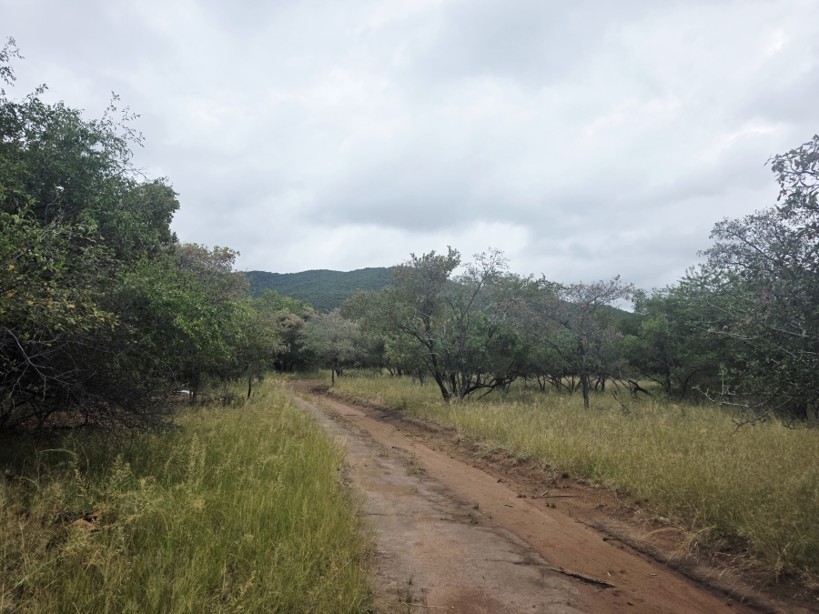 8 Bedroom Property for Sale in Naboomfontein AH Limpopo