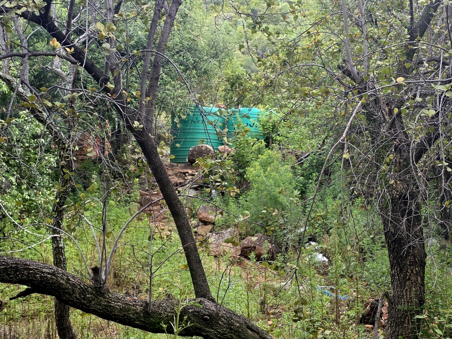 8 Bedroom Property for Sale in Naboomfontein AH Limpopo