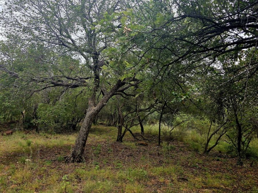 8 Bedroom Property for Sale in Naboomfontein AH Limpopo