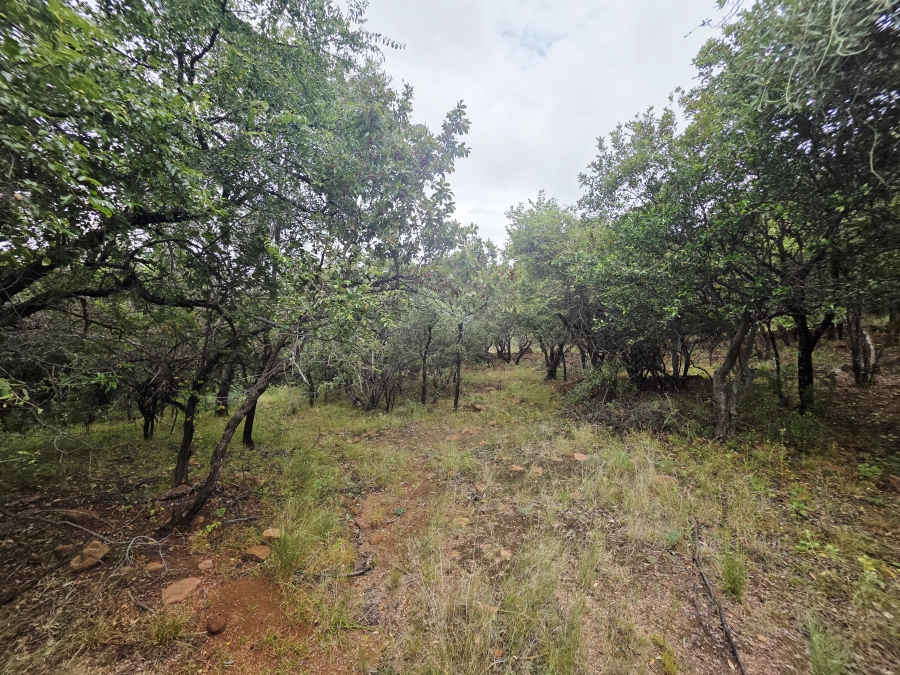 8 Bedroom Property for Sale in Naboomfontein AH Limpopo