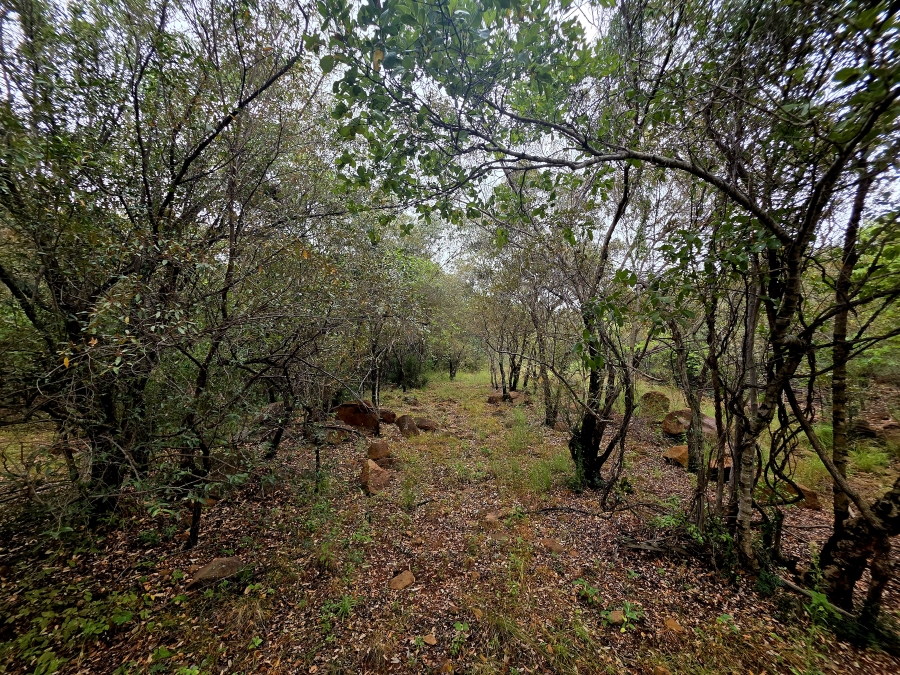 8 Bedroom Property for Sale in Naboomfontein AH Limpopo