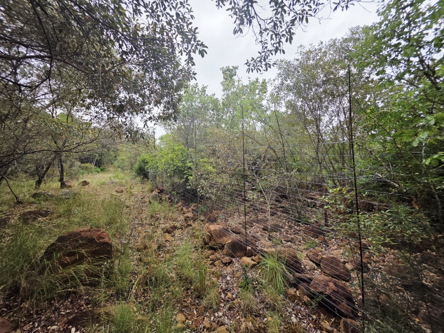 8 Bedroom Property for Sale in Naboomfontein AH Limpopo