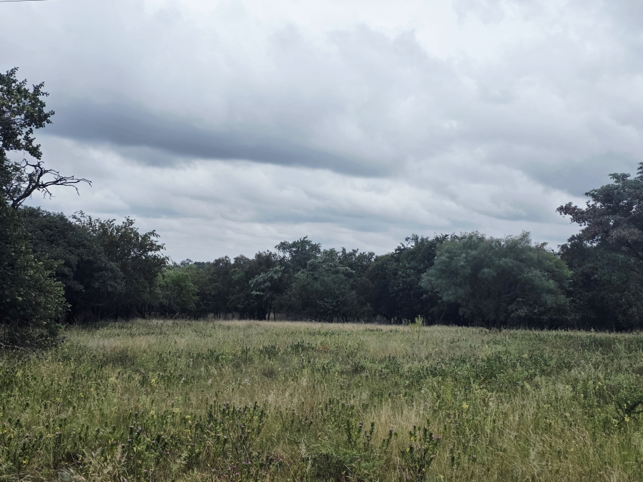 8 Bedroom Property for Sale in Naboomfontein AH Limpopo