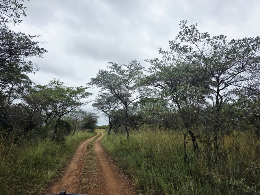 4 Bedroom Property for Sale in Vaalwater Limpopo