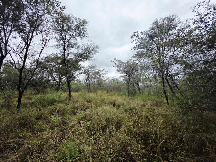 4 Bedroom Property for Sale in Vaalwater Limpopo