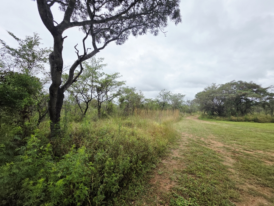 4 Bedroom Property for Sale in Vaalwater Limpopo