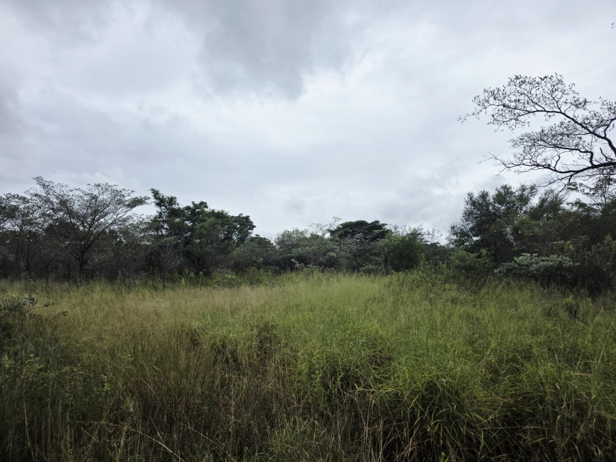 4 Bedroom Property for Sale in Vaalwater Limpopo