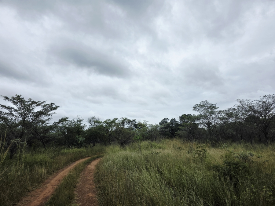 4 Bedroom Property for Sale in Vaalwater Limpopo