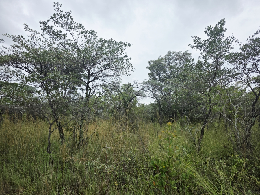 4 Bedroom Property for Sale in Vaalwater Limpopo