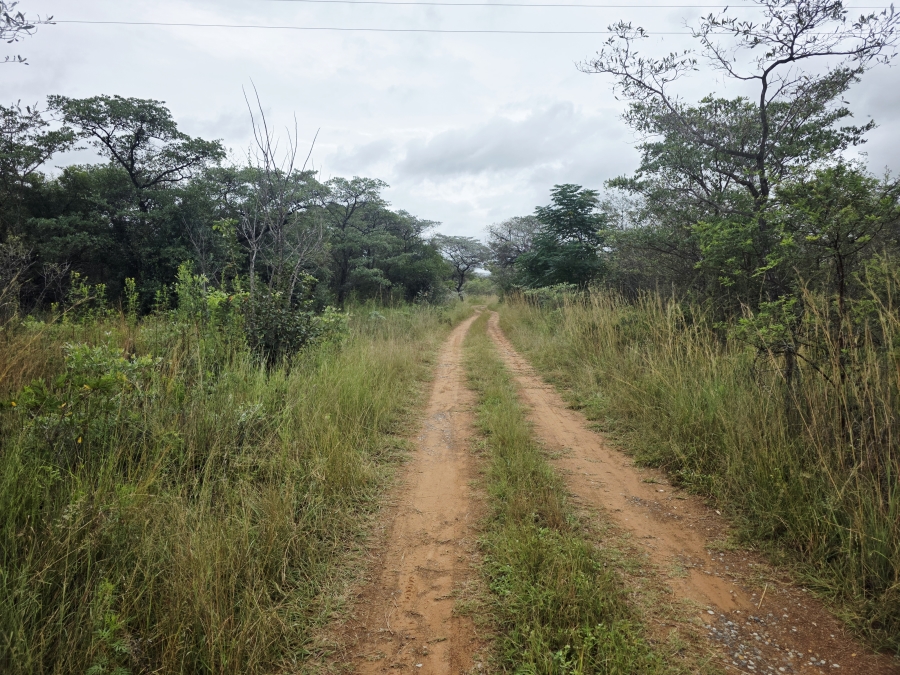 4 Bedroom Property for Sale in Vaalwater Limpopo