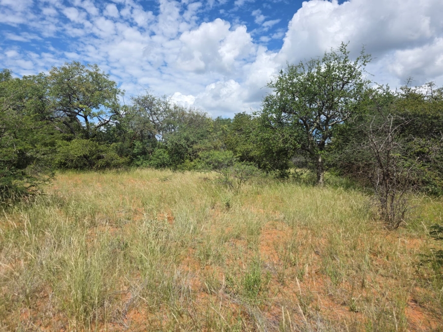 4 Bedroom Property for Sale in Tom Burke Limpopo