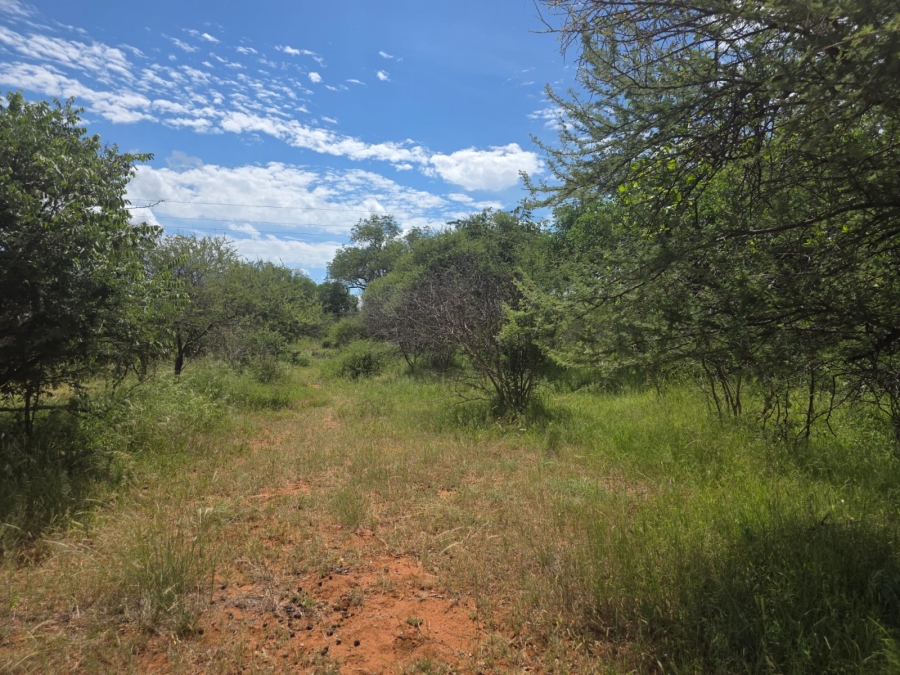 4 Bedroom Property for Sale in Tom Burke Limpopo