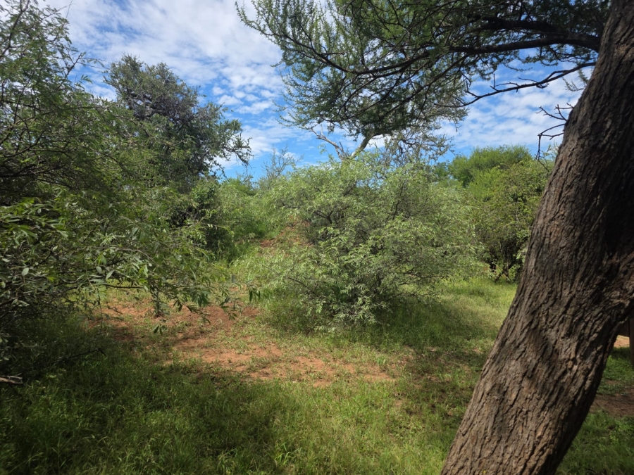 4 Bedroom Property for Sale in Tom Burke Limpopo