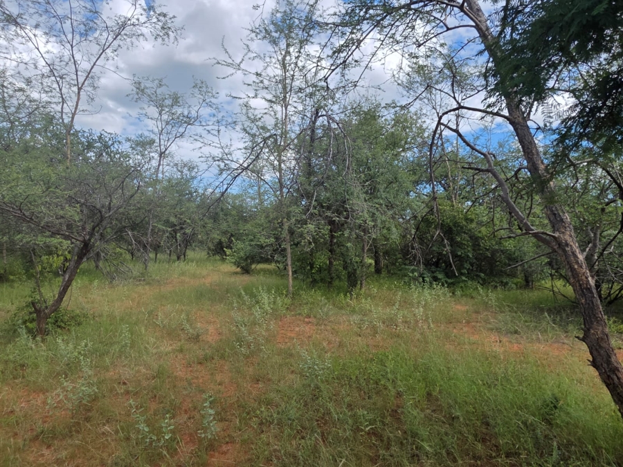 4 Bedroom Property for Sale in Tom Burke Limpopo