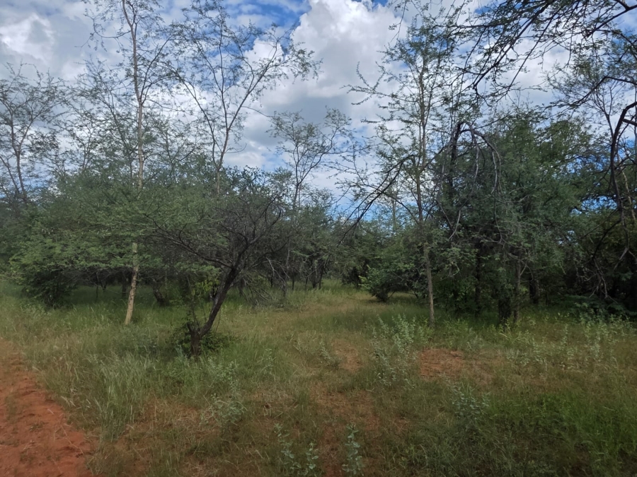 4 Bedroom Property for Sale in Tom Burke Limpopo
