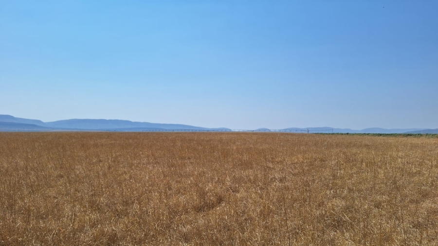 4 Bedroom Property for Sale in Alma Limpopo