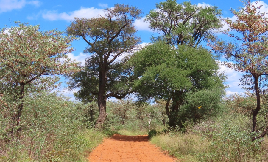 9 Bedroom Property for Sale in Thabazimbi Rural Limpopo