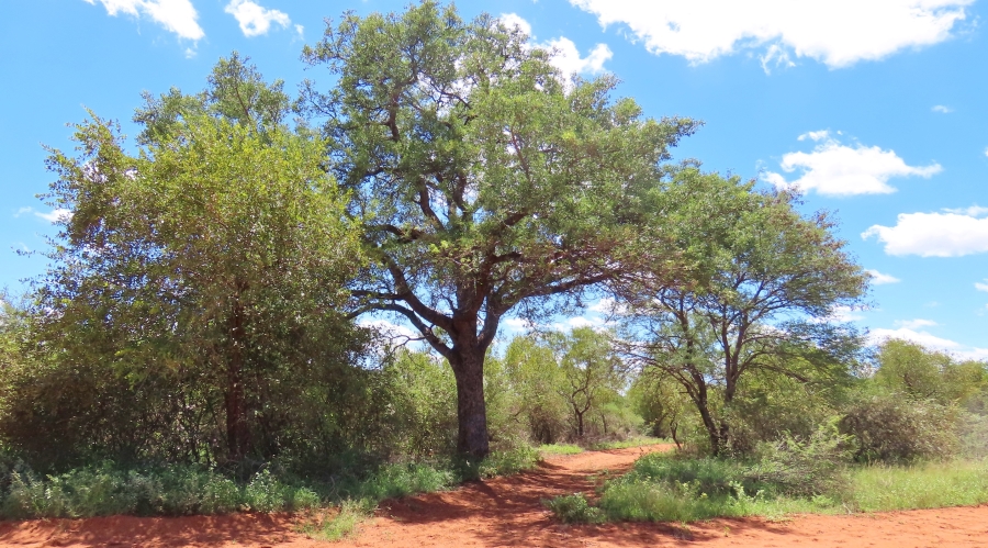 9 Bedroom Property for Sale in Thabazimbi Rural Limpopo