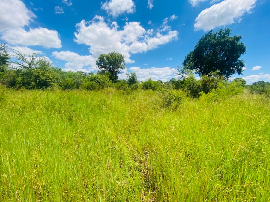 0 Bedroom Property for Sale in Mutoti Limpopo