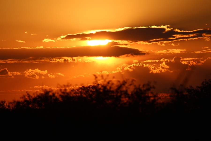 4 Bedroom Property for Sale in Thabazimbi Limpopo