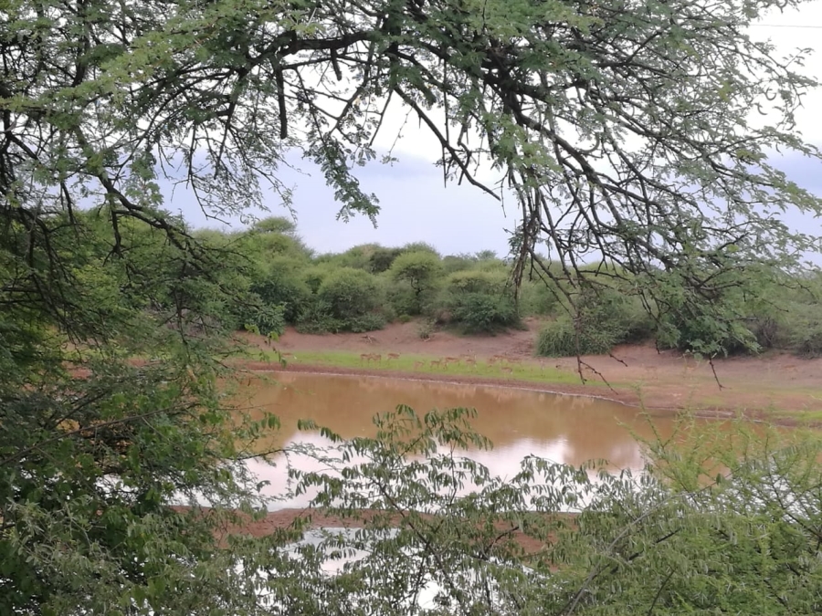 4 Bedroom Property for Sale in Thabazimbi Limpopo